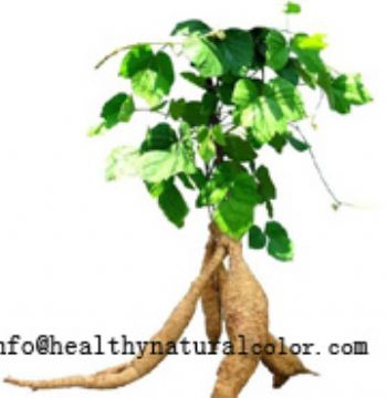 Kudzu Root Extract